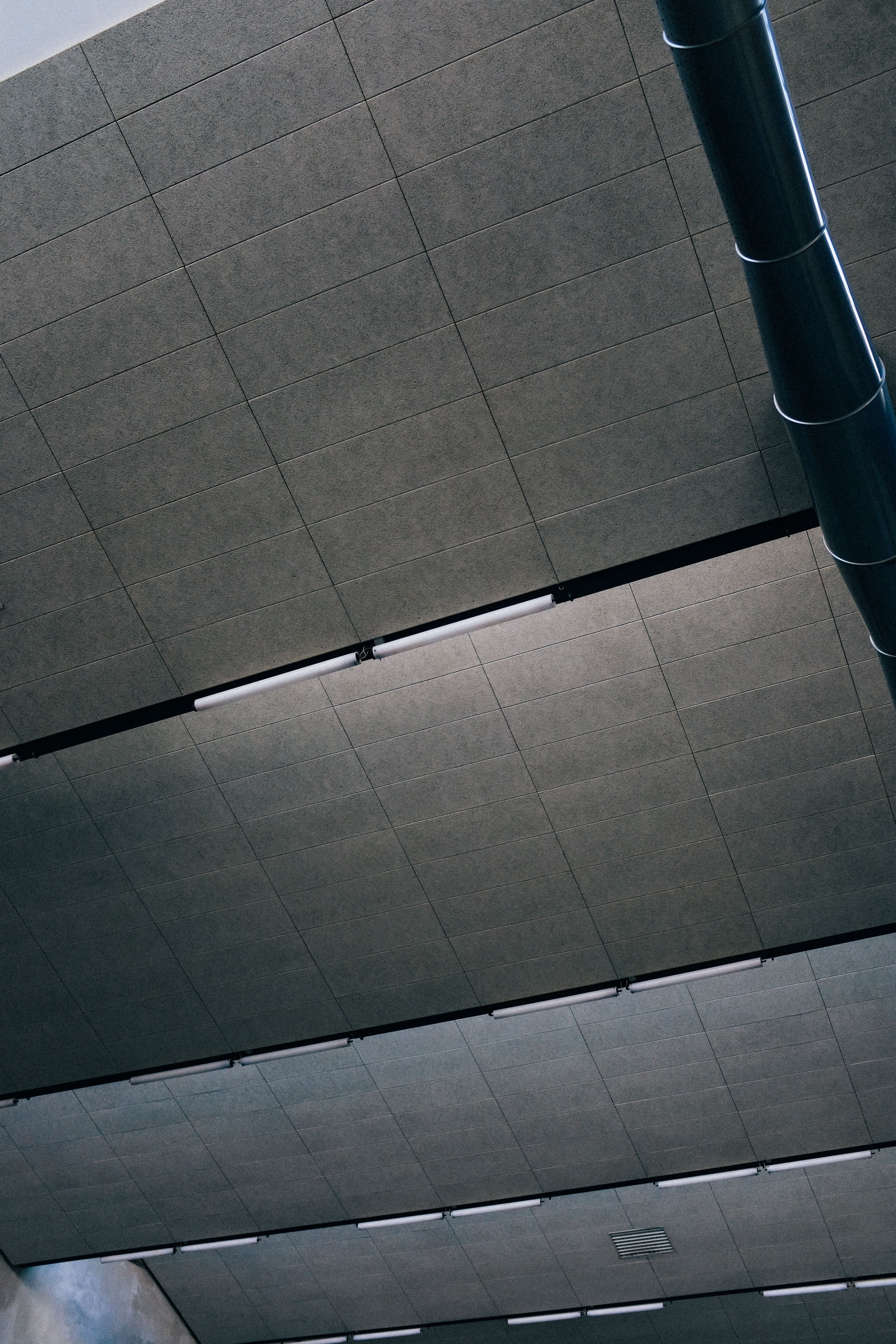 An acoustic tile ceiling seen from below: rows of gray tile in a suspended grid, continuous linear lights running between the bays and a round duct crossing the corner