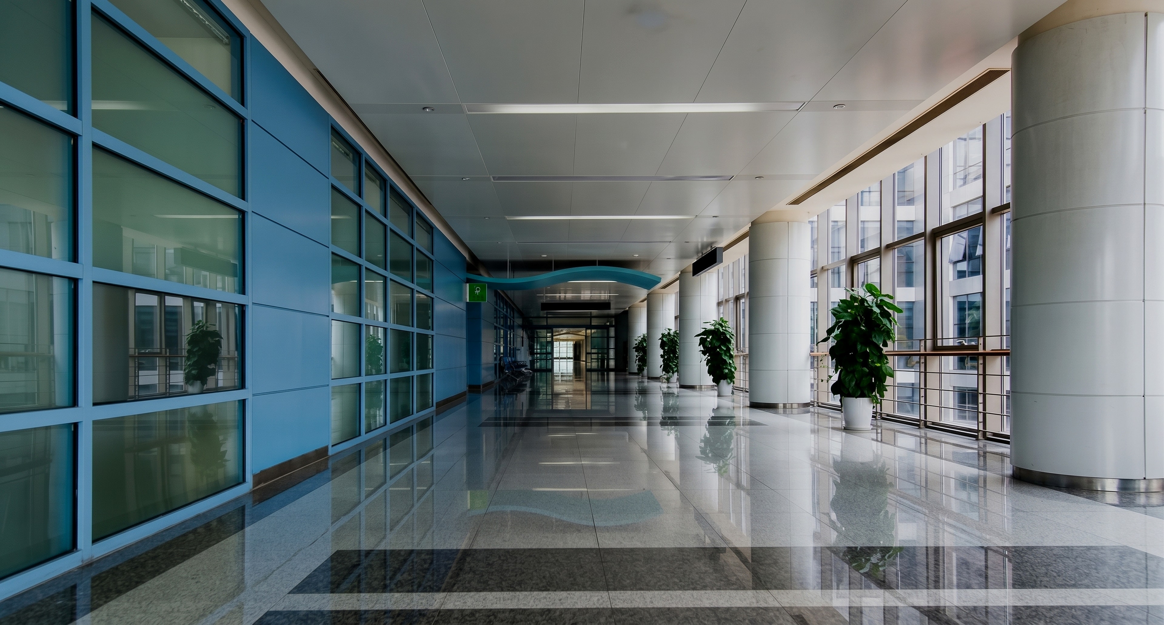 A bright, modern commercial building corridor: glass curtain wall and blue panels on one side, white columns and planters along a window wall on the other, a polished granite floor