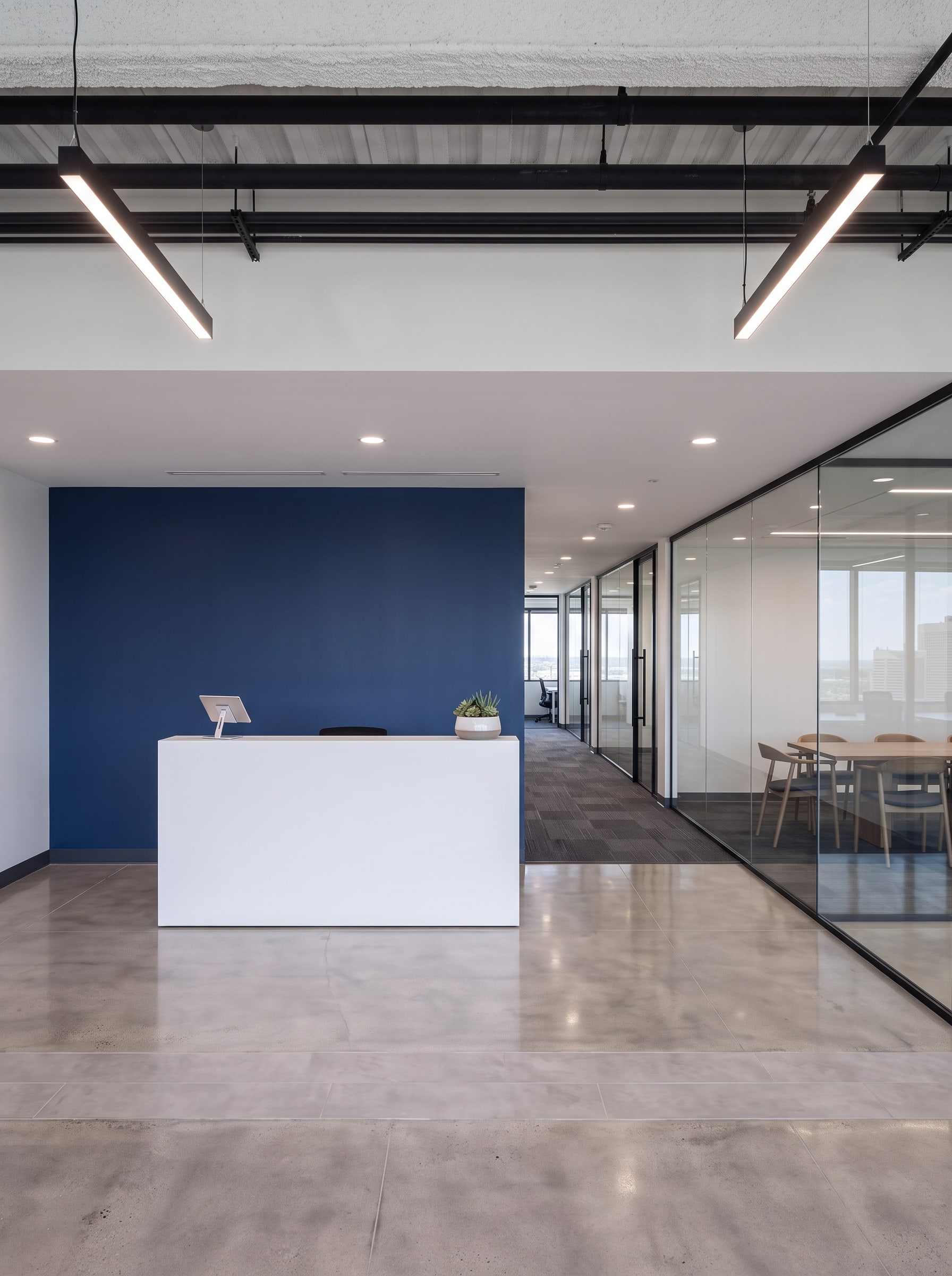 The reception: a white desk against the navy feature wall, glass-front meeting rooms beside it